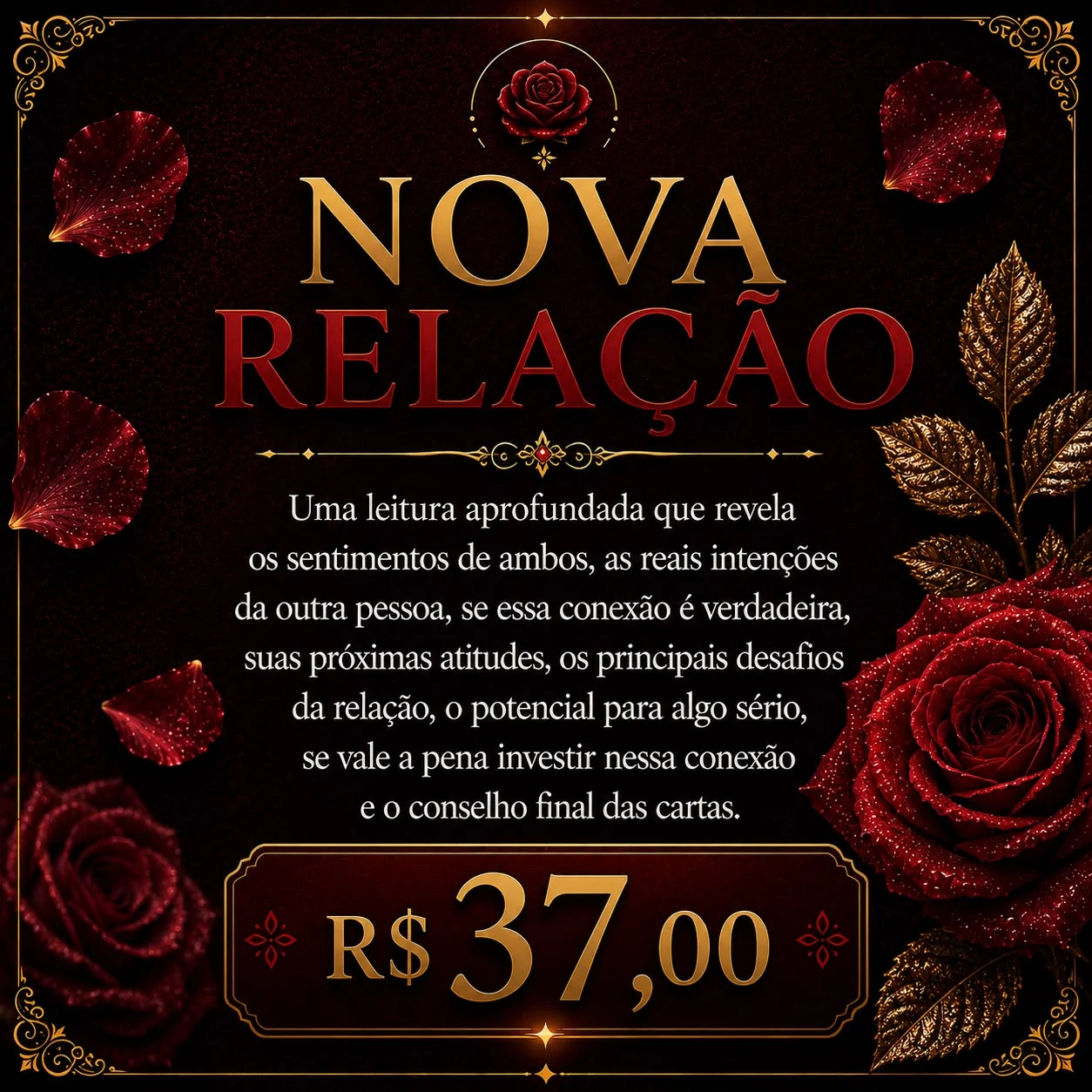 Nova Relação