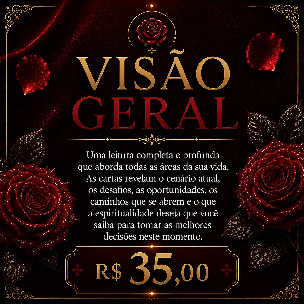 Visão Geral